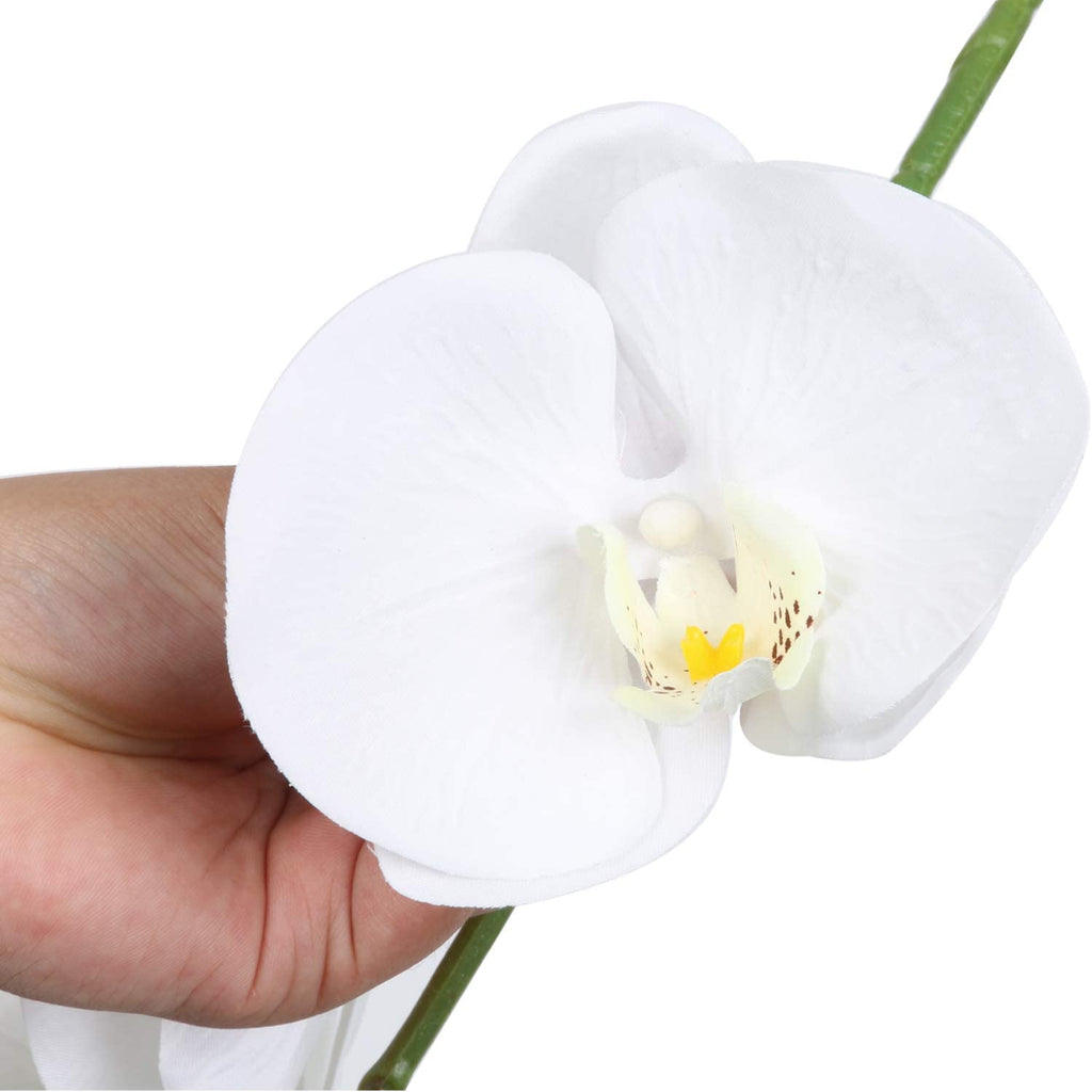 Silk orchid branch length reference