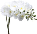 White silk orchid branches