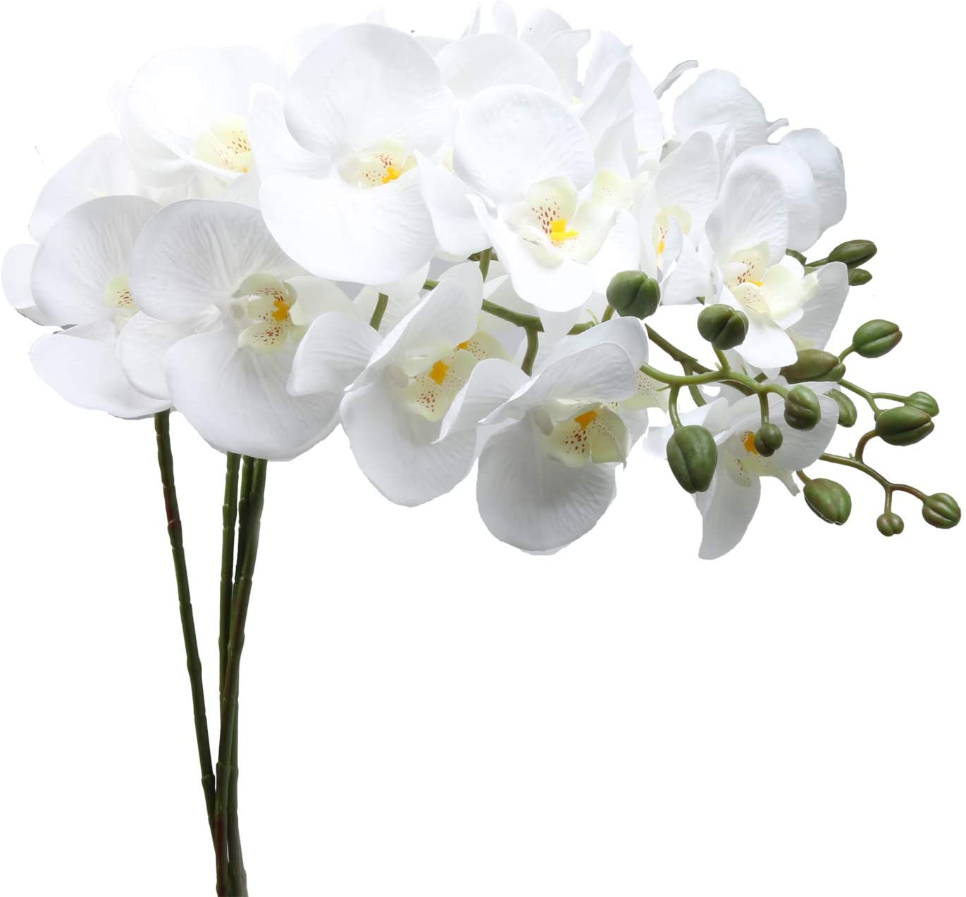 White silk orchid branches
