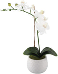 Potted faux blossom in a ceramic pot