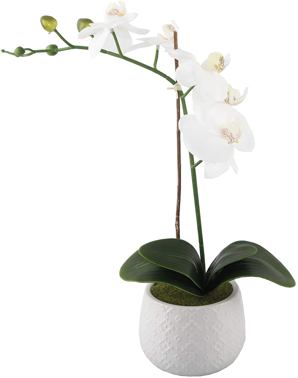 Potted faux blossom in a ceramic pot