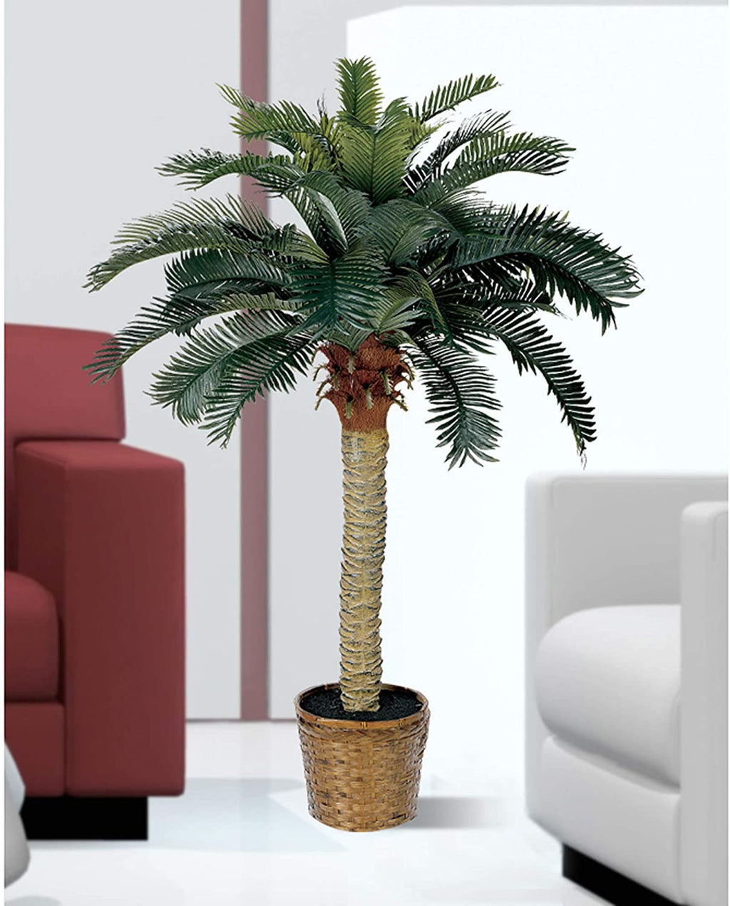 Silk palm trunk and nursery pot