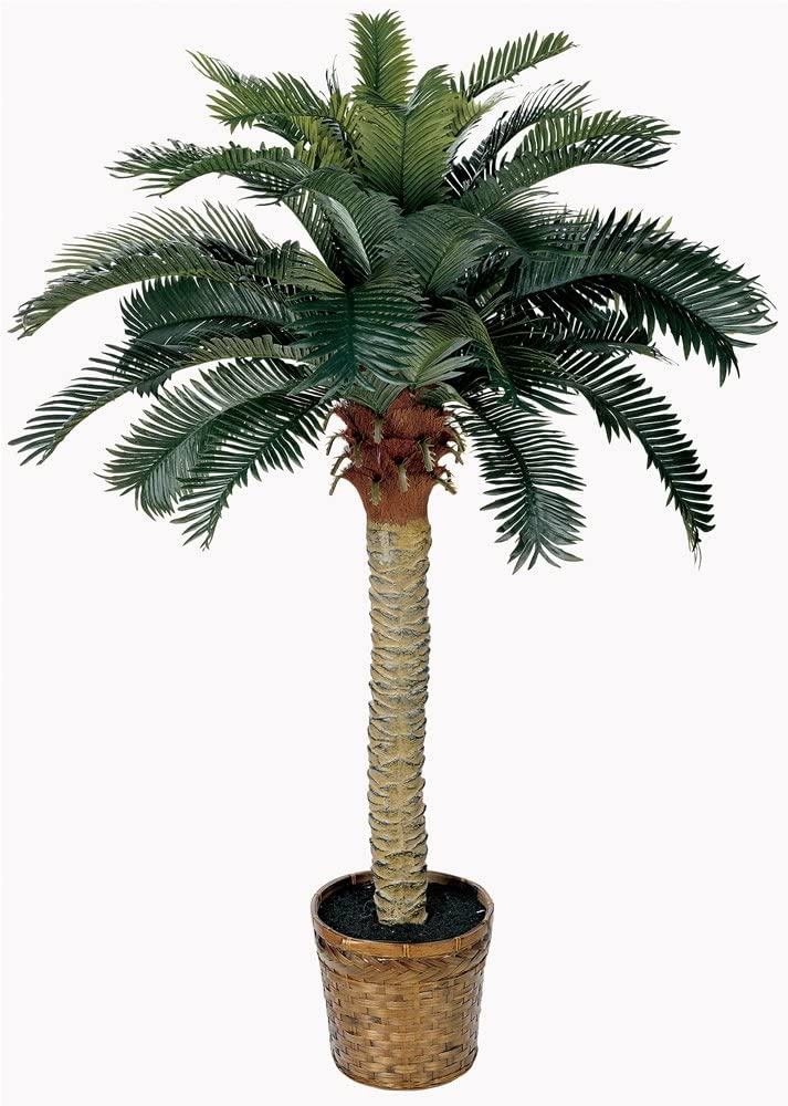 Silk palm tree in a room