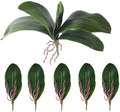 Faux phalaenopsis orchid leaves