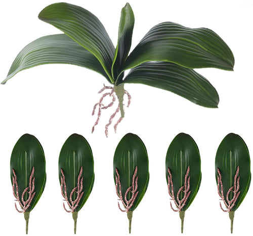 Faux phalaenopsis orchid leaves